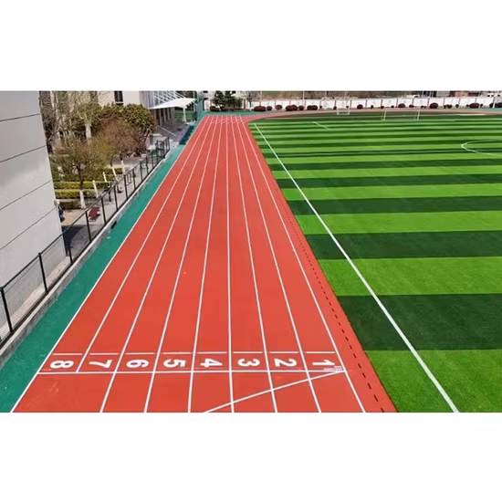 Comfortable Lightweight Training Gym Wear Oversized Fit Sporty Jacket Suit Running Zipped Pocket Men′ S Track Suit